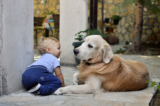 Why Kids and Pets Make the Perfect Duo