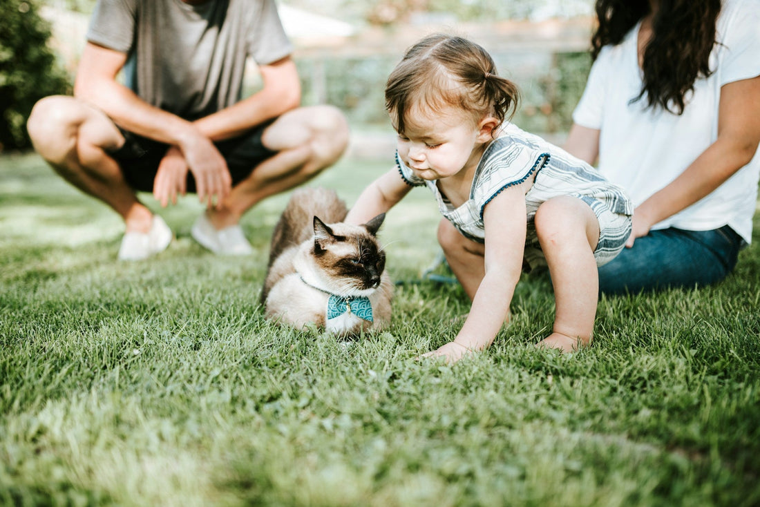 How Growing Up with Pets Helps Kids Thrive
