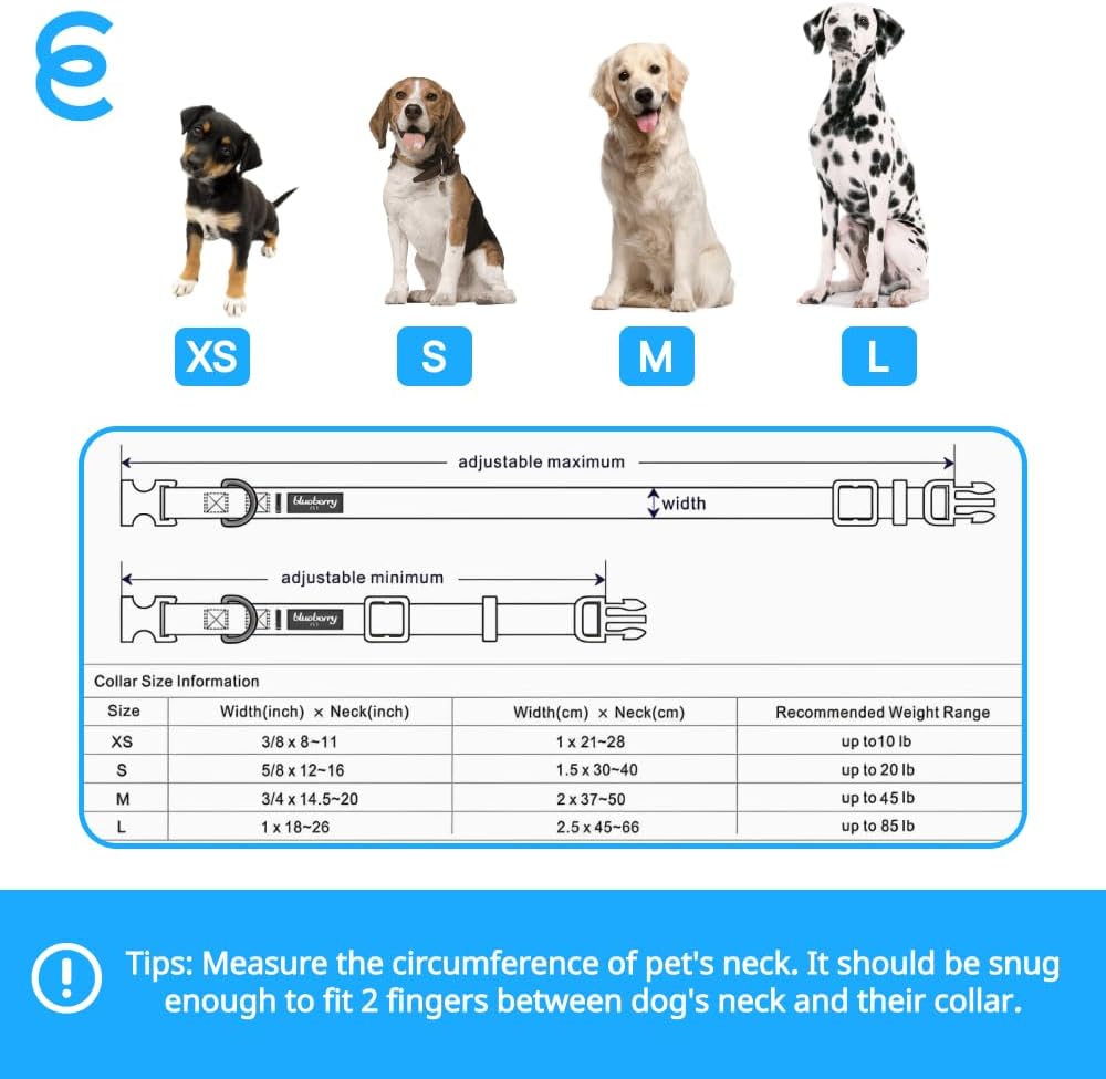 Blueberry Pet Essentials Small Dog Collar | Girl Dog Collars Fall | Female Dog Collar Small | Lavender Dog Collars for Small Dogs | Quick Release Dog Collar | Lavender Nylon Dog Collar