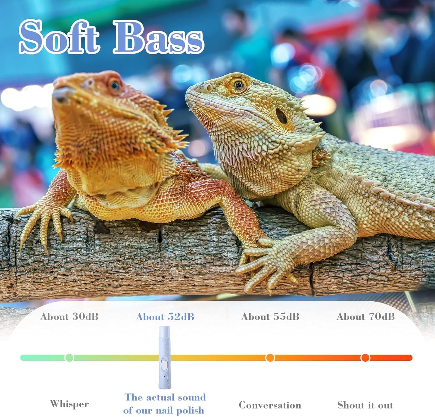 Lasnten Bearded Dragon Nail Grinder with Bearded Dragon Nail Clippers Rechargeable Pet Paw Trimmer Reptile Nail File with LED Lamp Grooming Tool for Reptile Lizard Turtle Iguana Bird Hedgehog