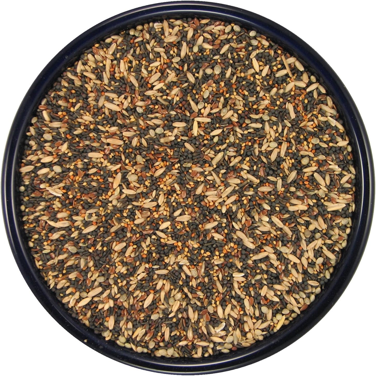 SLEEK & SASSY Song Bird Treat for Finches and Canaries (20 lbs.)